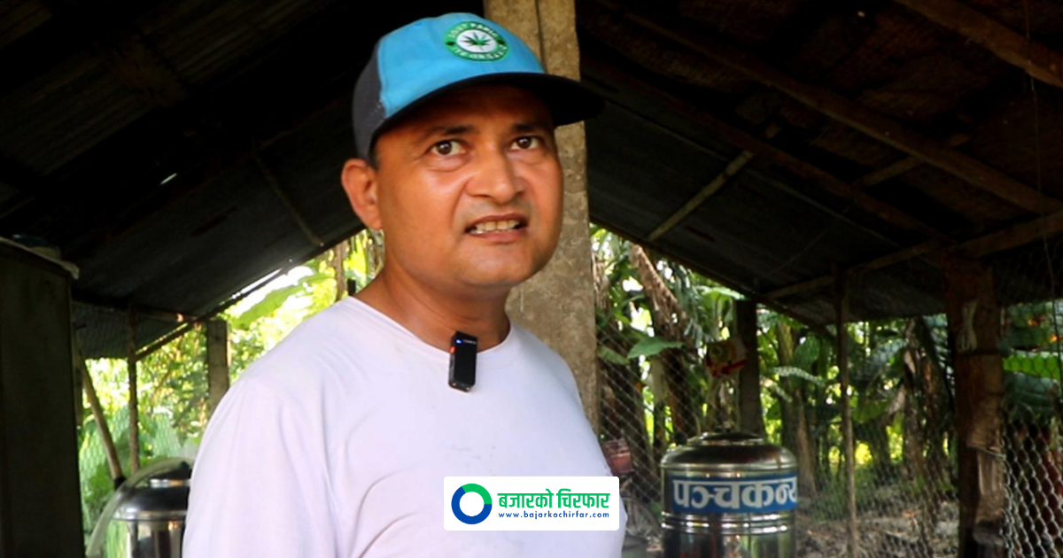 Chitwan Farmer Successfully Produces Wine and Brandy from Bananas